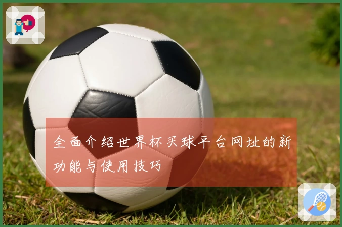 全面介绍世界杯买球平台网址的新功能与使用技巧