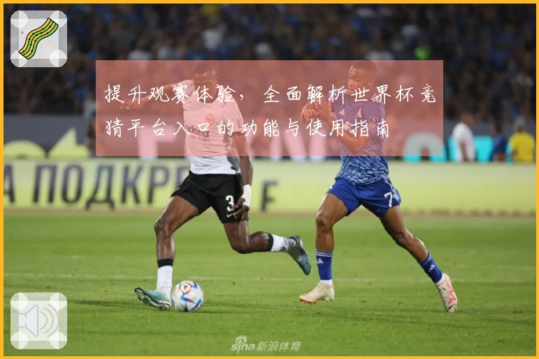 提升观赛体验，全面解析世界杯竞猜平台入口的功能与使用指南