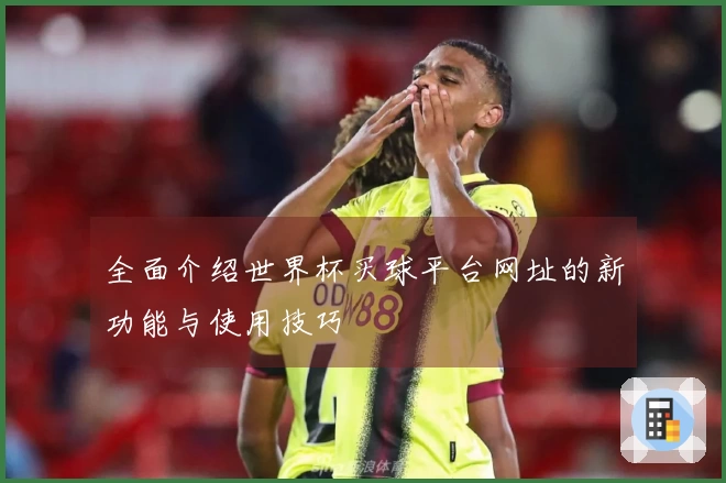 全面介绍世界杯买球平台网址的新功能与使用技巧