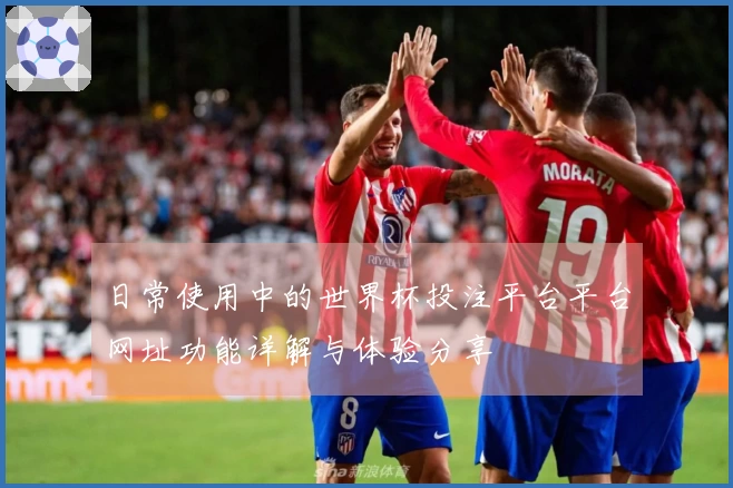 日常使用中的世界杯投注平台平台网址功能详解与体验分享