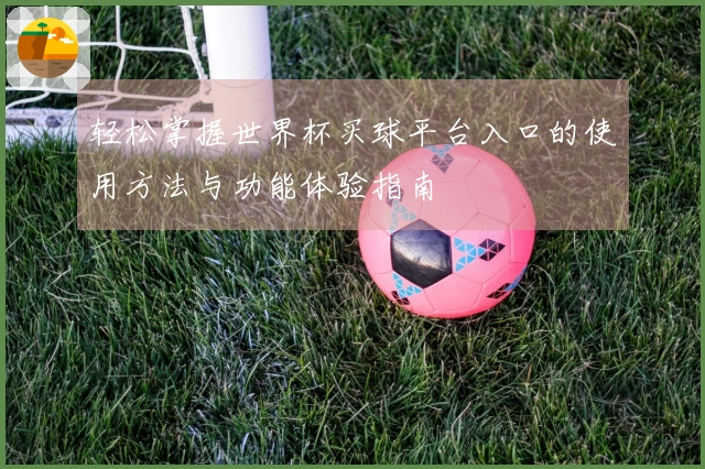 轻松掌握世界杯买球平台入口的使用方法与功能体验指南