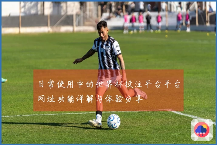 日常使用中的世界杯投注平台平台网址功能详解与体验分享