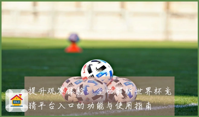 提升观赛体验,全面解析世界杯竞猜平台入口的功能与使用指南