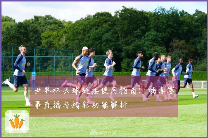 世界杯买球链接使用指南：畅享赛事直播与精彩功能解析